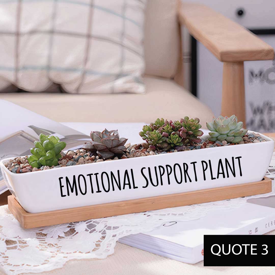 Message in a Planter - 7" Long