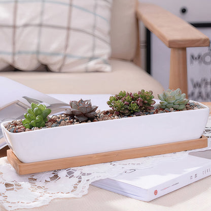 Message in a Planter - 7" Long