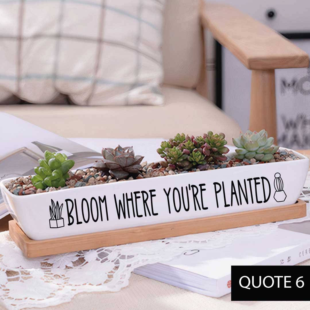 Message in a Planter - 7" Long