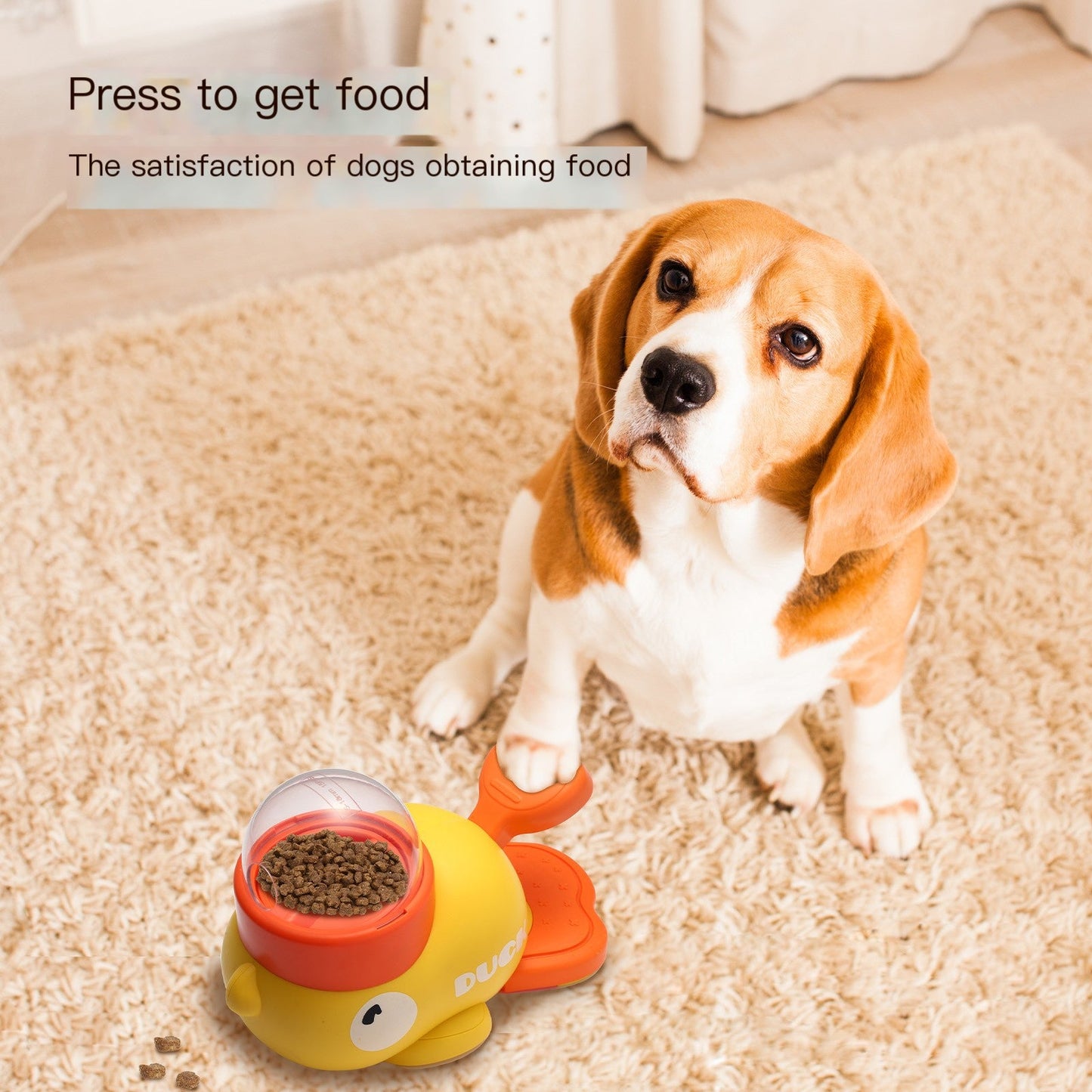 Intelligent Automatic Pet Feeder - aydens bidness