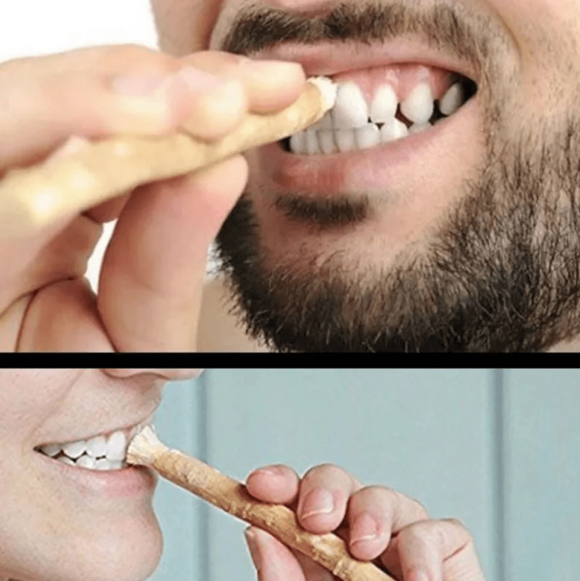 Miswak Tooth Cleaning Stick - aydens bidness